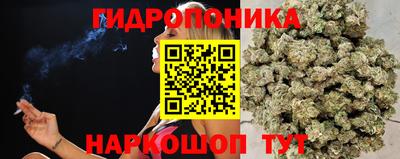 индика Заводоуковск