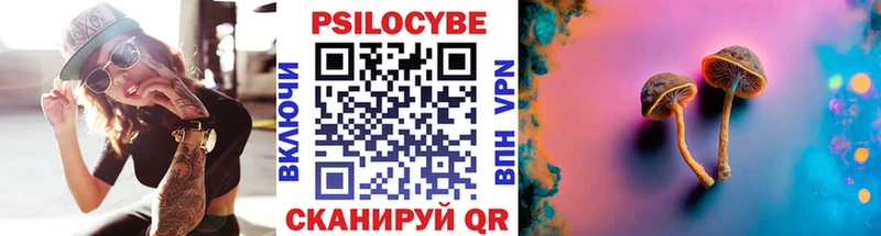 что такое   Коммунар  Псилоцибиновые грибы Magic Shrooms 