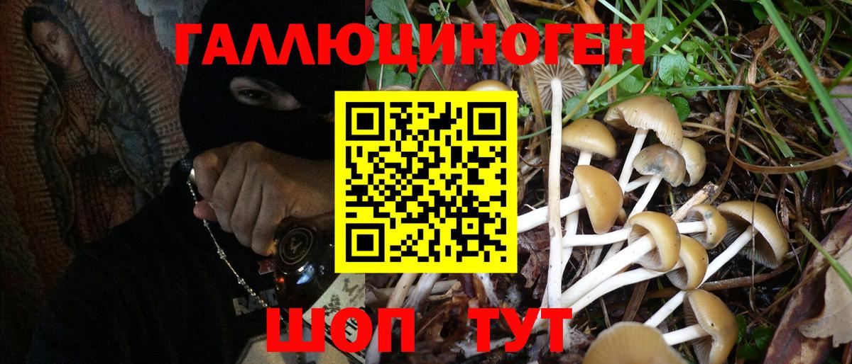 Коммунар  Галлюциногенные грибы Psilocybe  Вход с VPN 