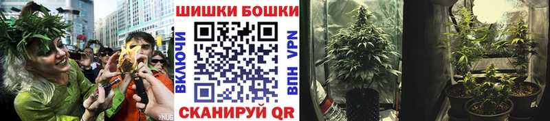 дарнет шоп  Коммунар  Марихуана план 